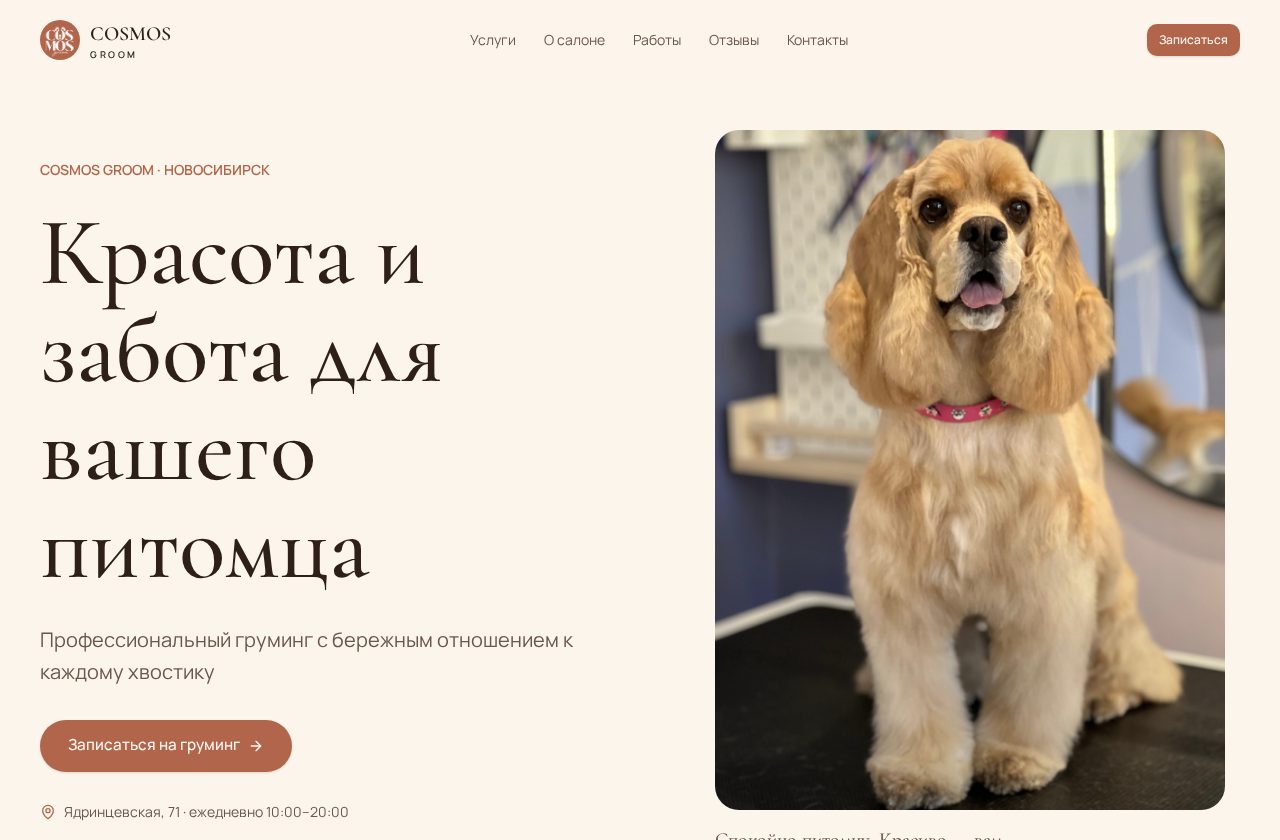Сайт Cosmos Groom из портфолио Гордея